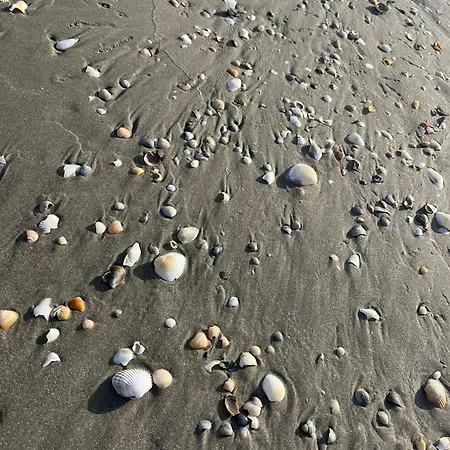 Excelsior Mamaia Nord 3* Năvodari