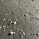 Excelsior Mamaia Nord 3* Năvodari
