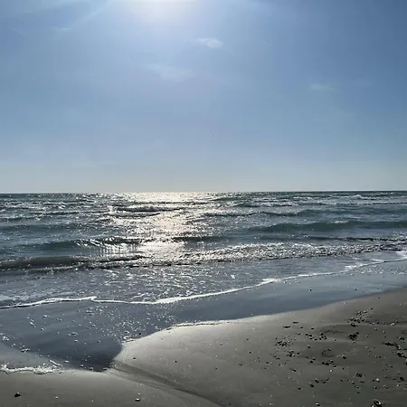 Excelsior Mamaia Nord B&B *