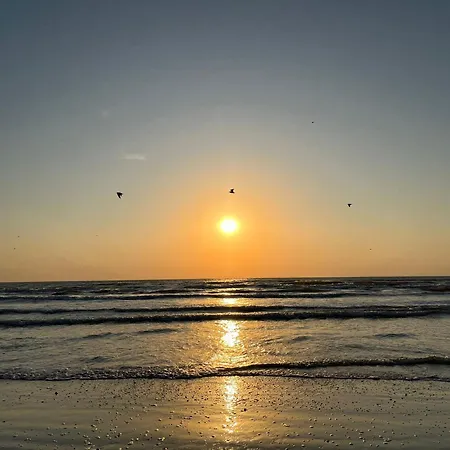 Excelsior Mamaia Nord 3*