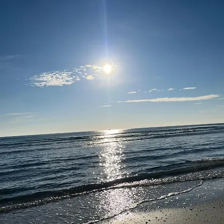 Excelsior Mamaia Nord B&B